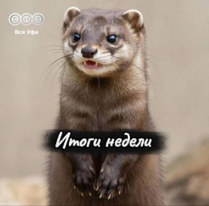 - ������� �������� � ����� �������� ���� ������� ������� ����