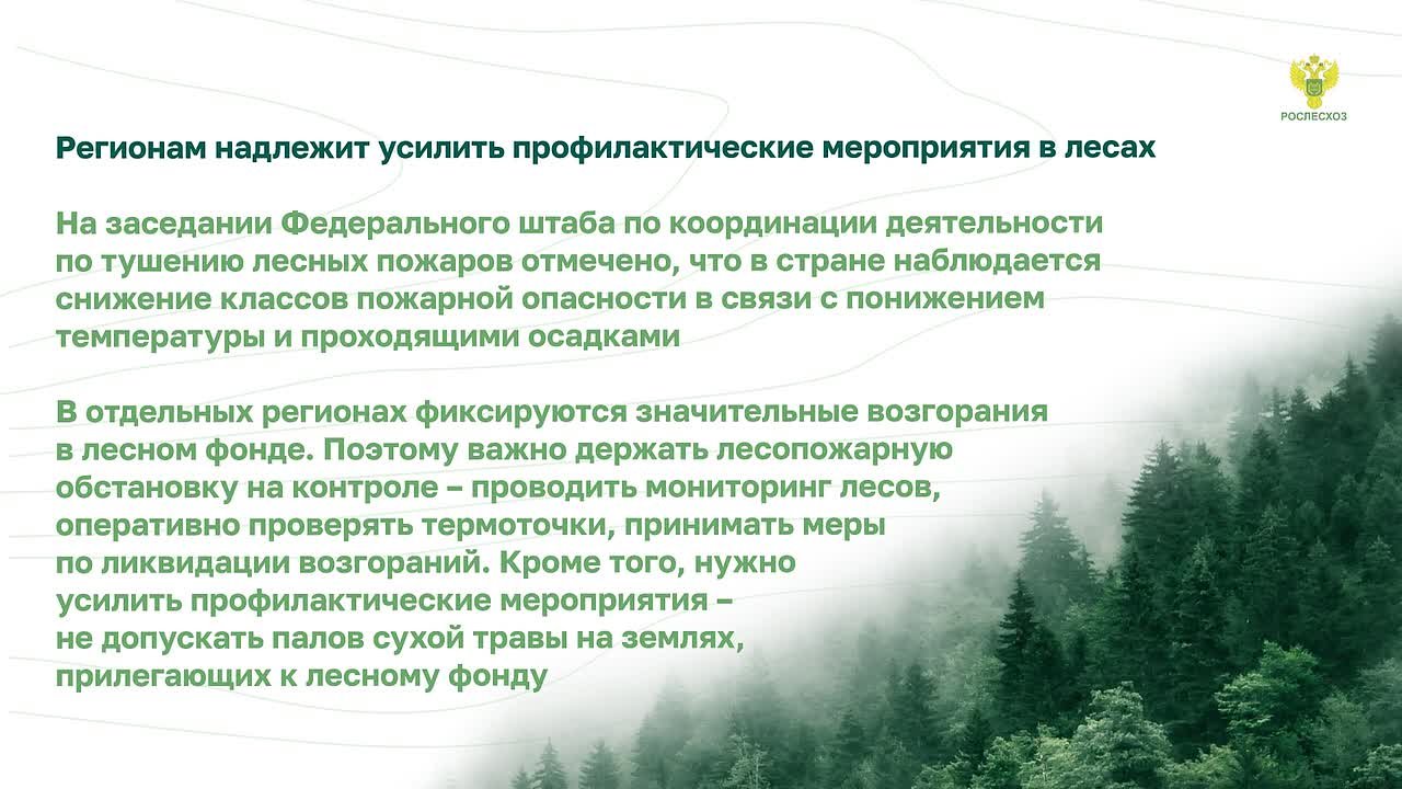 Лесной #Дайджест – главные новости за неделю