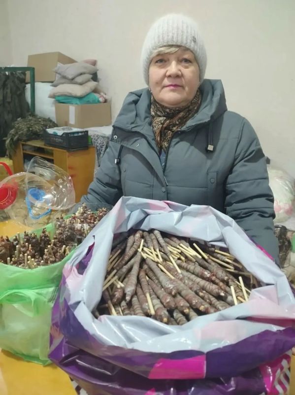 ���������� �������� �������� ������ ����� ������ ���