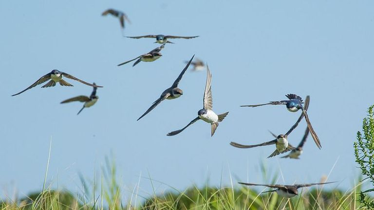 ����� ������: �� ������ �� ��������� � ��� ����� ����� �������