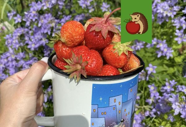 ��� �������� �������� ����� ����� � ������� ������� ���������