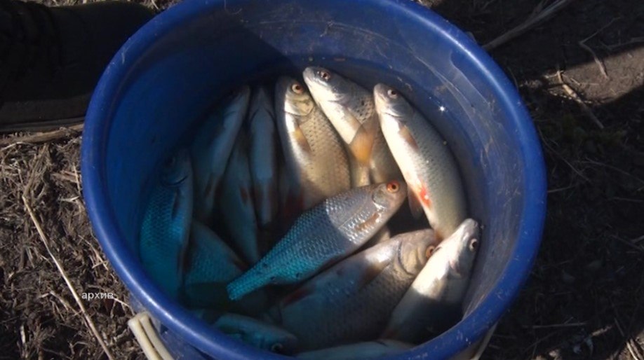 В Башкирии вступит в силу нерестовый запрет