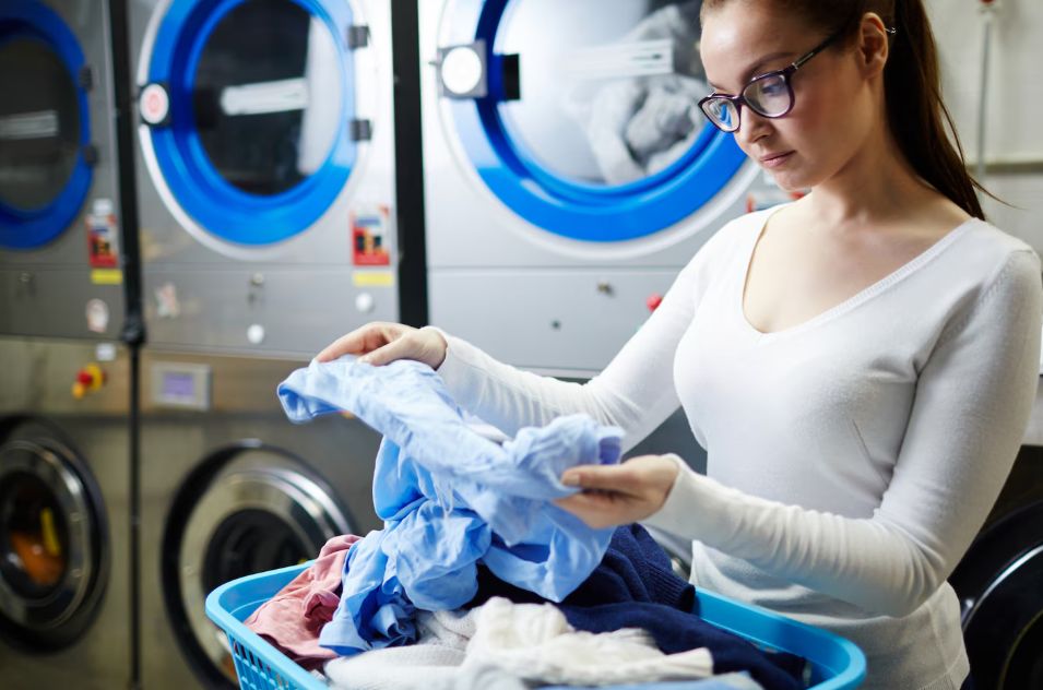 ������ ������� ������ ����� ��������� ����� ������ � ���������� ������