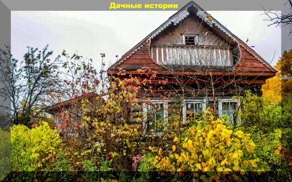 ������ �������� ������: ���� ����� ������� ��������?