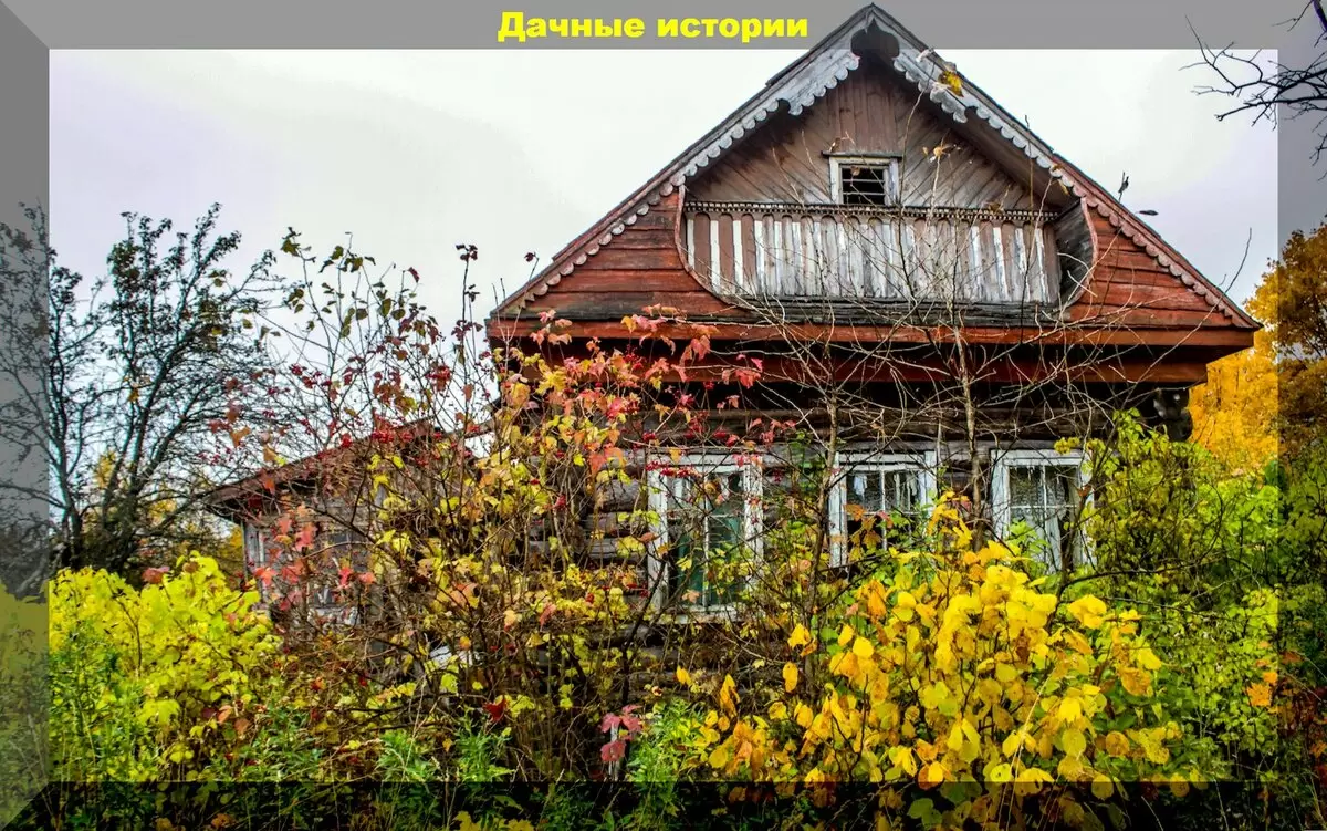 Ошибки осеннего сезона: чему могут научить садоводы?