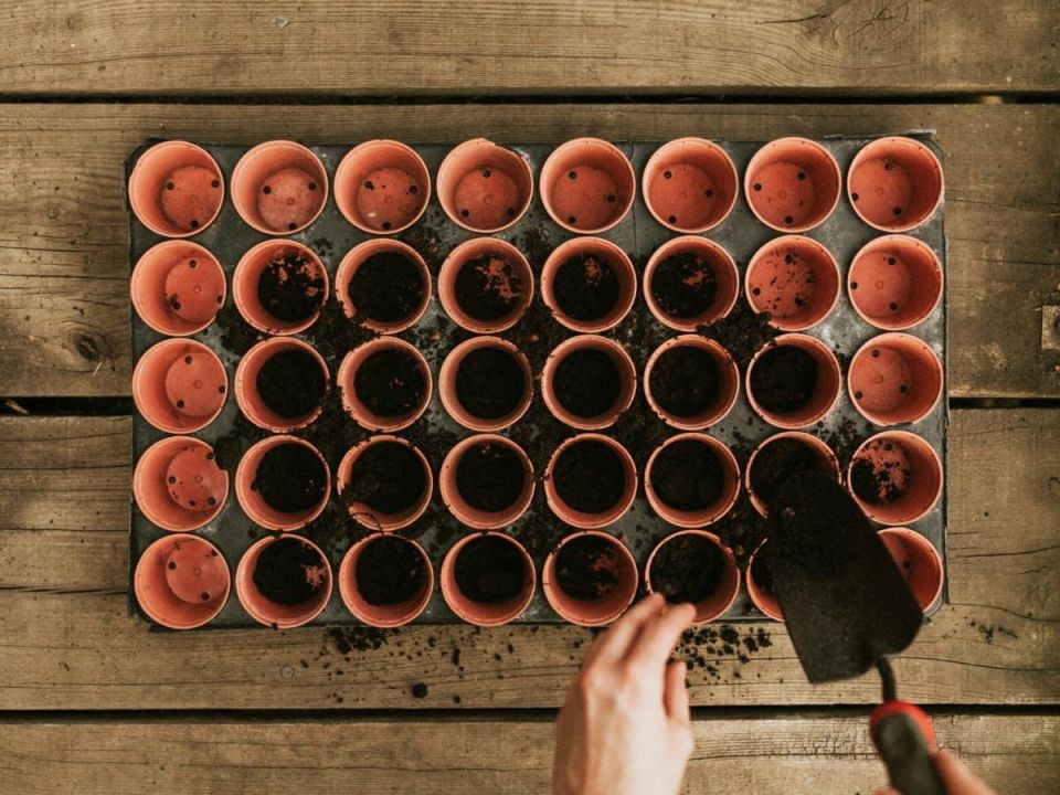 ������ � �������: ���� � �������� ��������� ��������