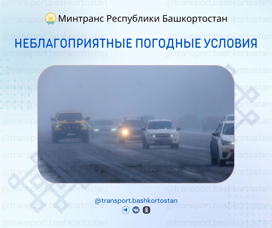 ��������������� �������� ������� 15 ������