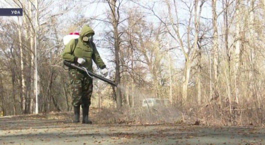 � ��� ���������� ���������� ��������� ������������ ���������� �� ������