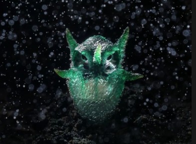 Тисмия: загадочные фонарики из мира растений