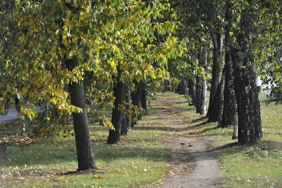 � �������� ������� ��� ������