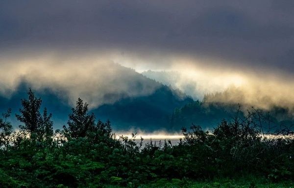 �� ������ ������������, 15 ������ �� ���������� ���������� ��������� ���������� ����������