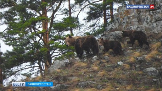 ��������� � ����� �������� �������� � �������� ����������