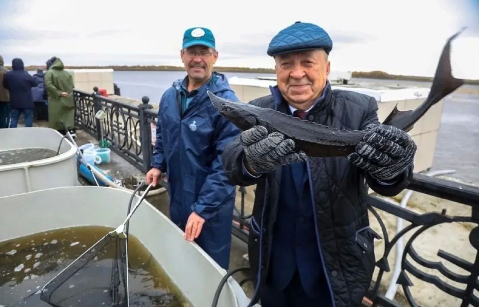 15 ������ � 17:20 �� "����� ������-������������"