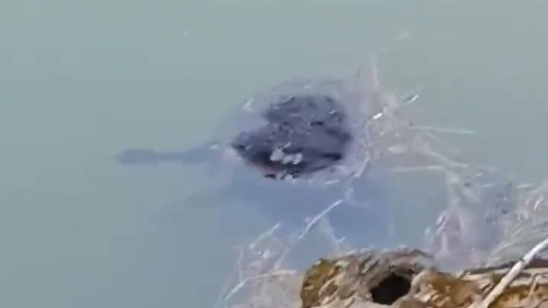 Фермер потерял 20 млн рублей