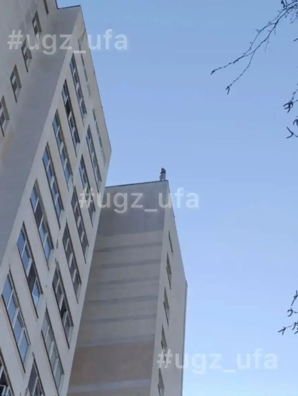 � ��� �� ����� ����������� �������� �������� �������