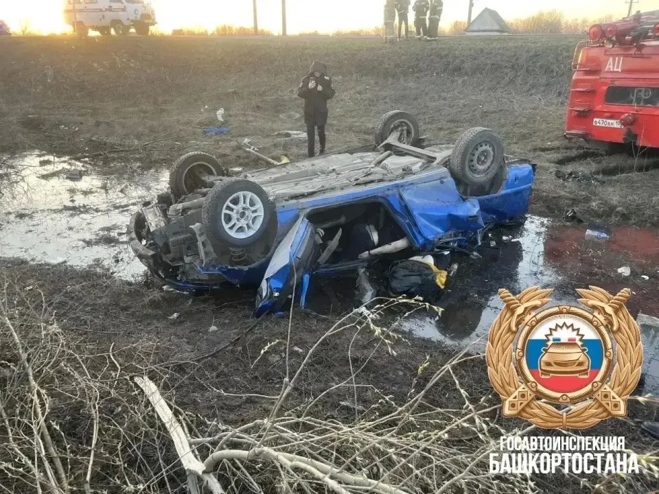 ������� �������� ������� � ��� � ��������: �� ����� ��� 16-������ ���������