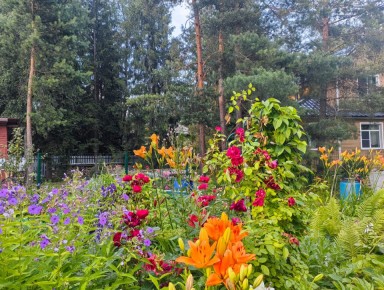 �������� ������� ���: ��� ���������� ��� ��������� �������