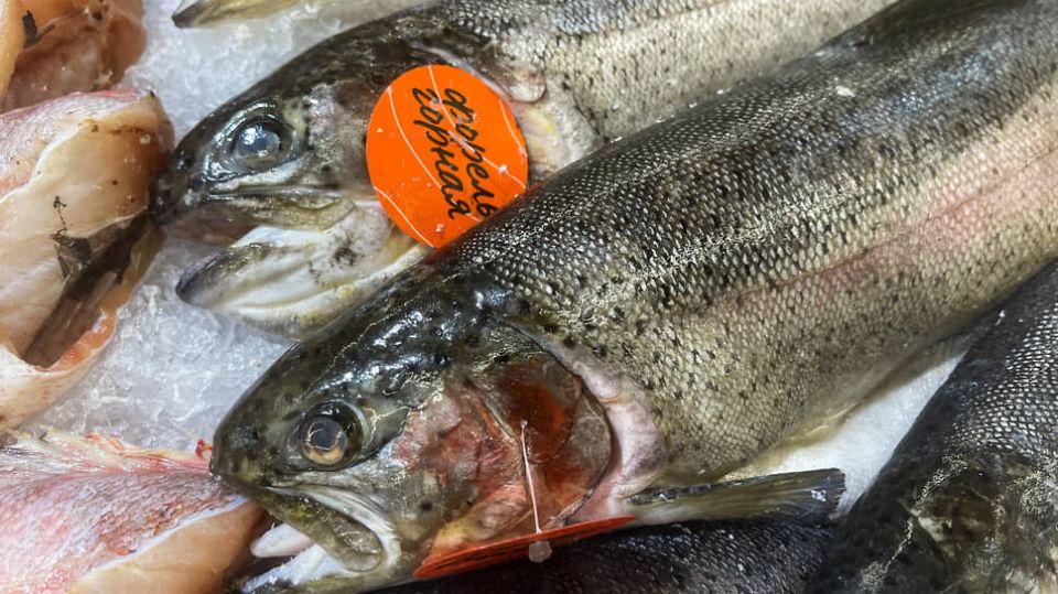 ��� �������� ���� �� ���� � ����� � ���������� �������: ������������ ������� �����