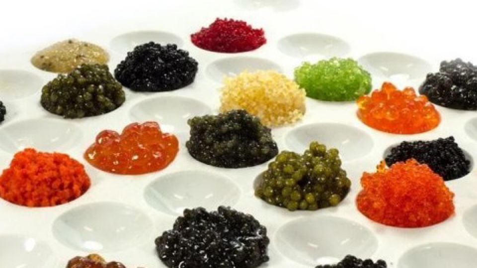 ��� �������: ������ ��� ������� ����? �������� �������� ������������� ����� ����������