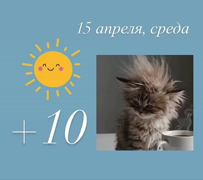 ������ ��������� ����. ������� � ��� ���������� ����������