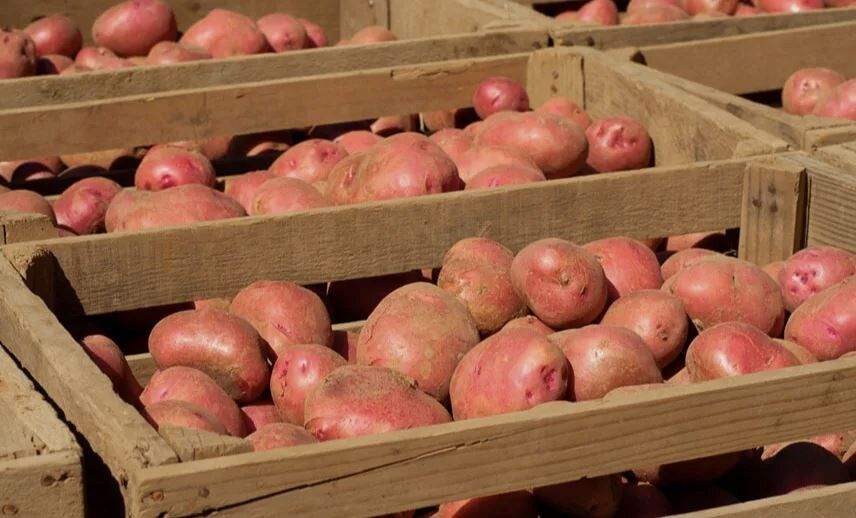 ������� ��������� �������� ���������: ��� ��������� ������ �� �����