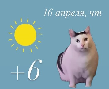 Доброе утро