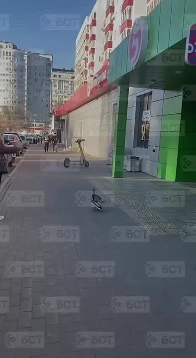 ����� ��������� ����������