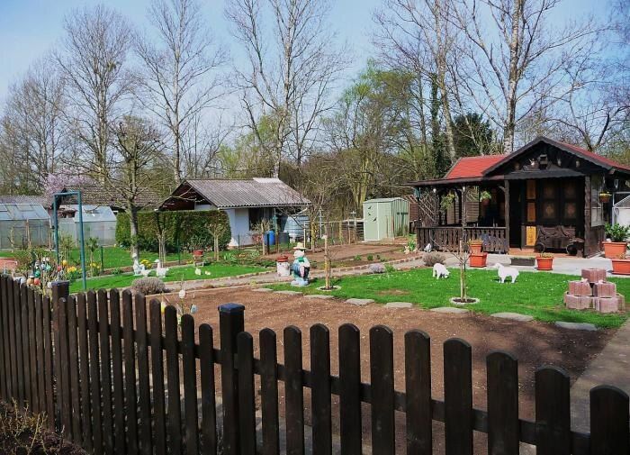 ��� ����������� ���� � ����: ������ ���� ��� ���������� ��������