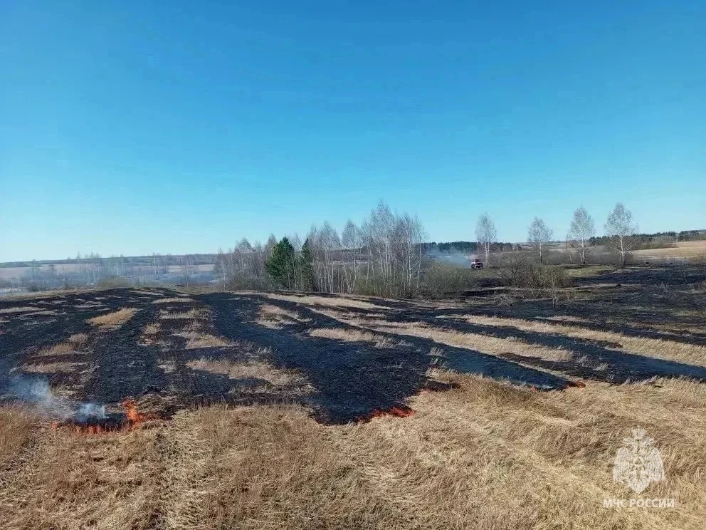 Оперативная обстановка по весеннему половодью и ландшафтным пожарам Оперативная обстановка по весеннему половодью и ландшафтным пожарам