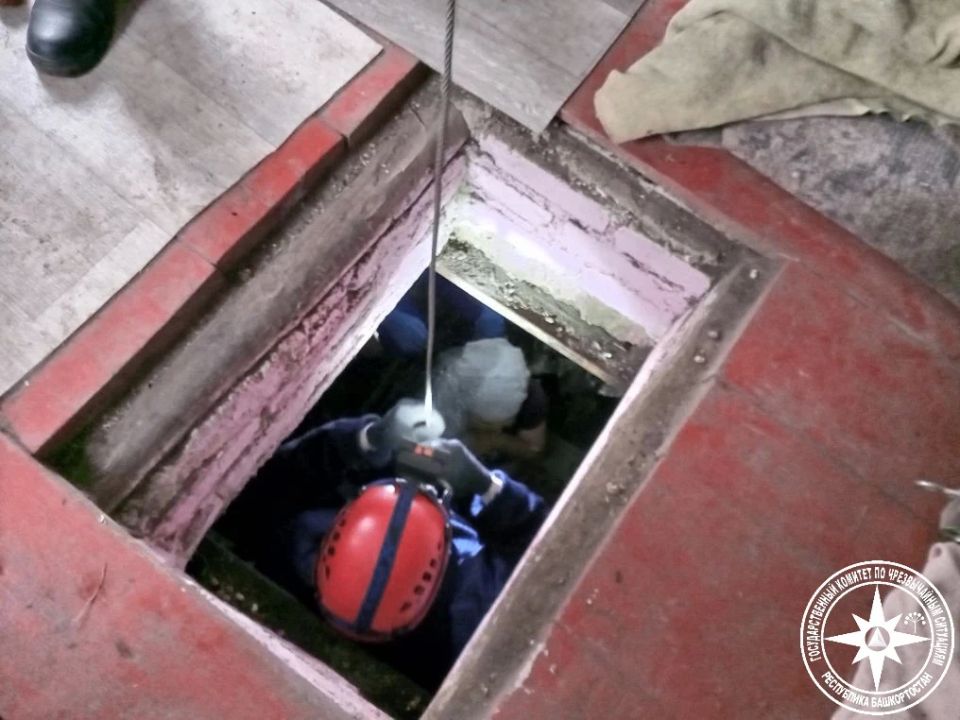 ������� ����� � 2,5-�������� ������ � �������������