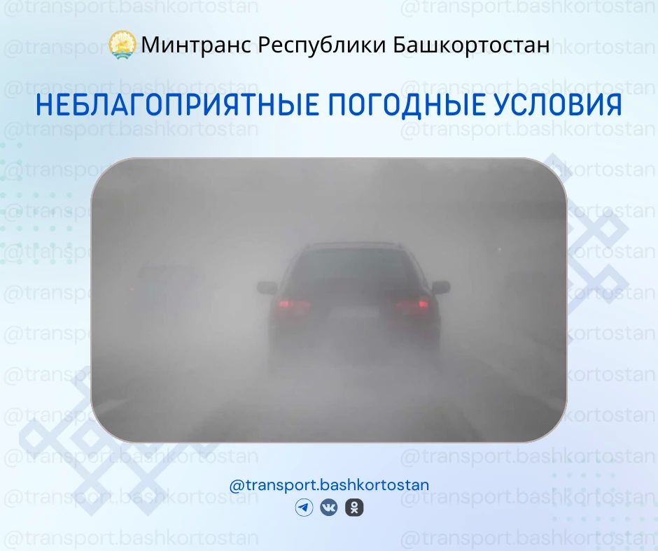 ��������������� �������� ������� 17 ������