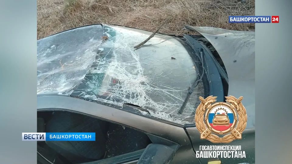 � ��� �� ������ � �������� �������� 60-������ �������� ��������