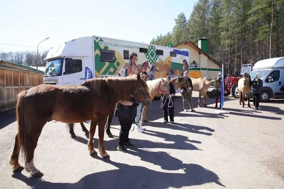 �� ��� � ��� ��������� 10 �������