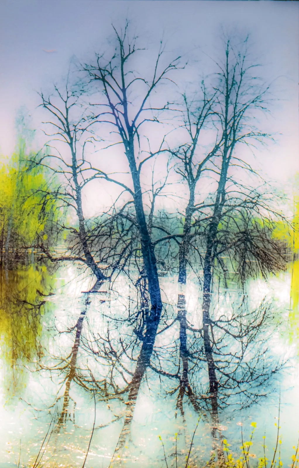 По данным Башгидромета, 16 апреля на территории республики ожидается переменная облачность