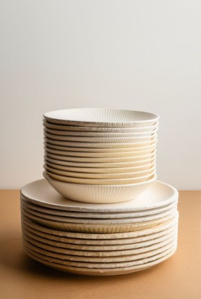 Как выбрать идеальные одноразовые бумажные тарелки: материалы, прочность и экология