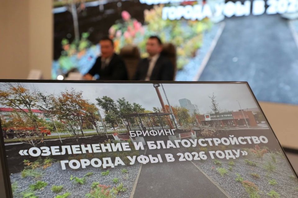 16 ������ � ������������ ������ ��� ������ ������� �� ���������� � ��������������� ������������ ����������� � ������ � 2026 ����