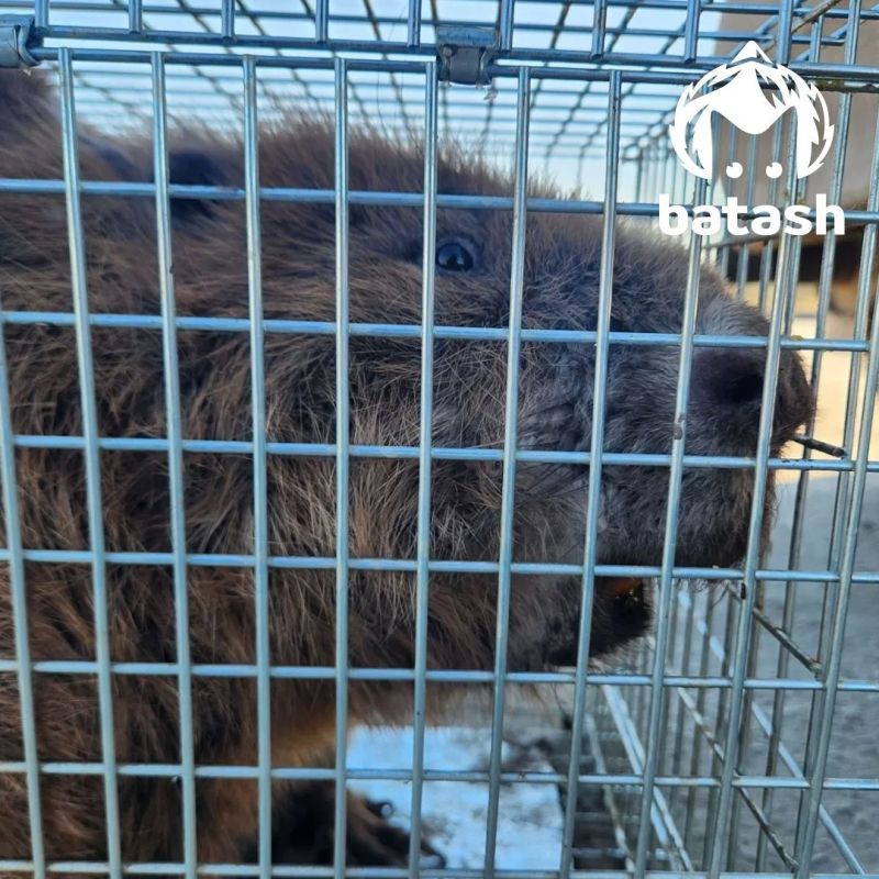 ��-�-���������� 20-������������� ���� ����� �� ������� ������� ��������� ������