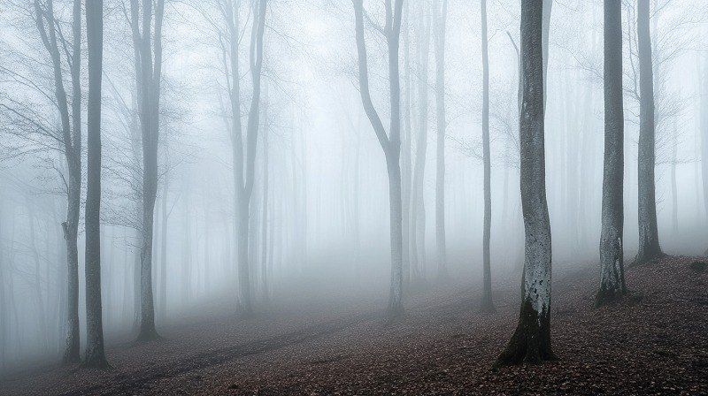 � �������� ������ ������ ������