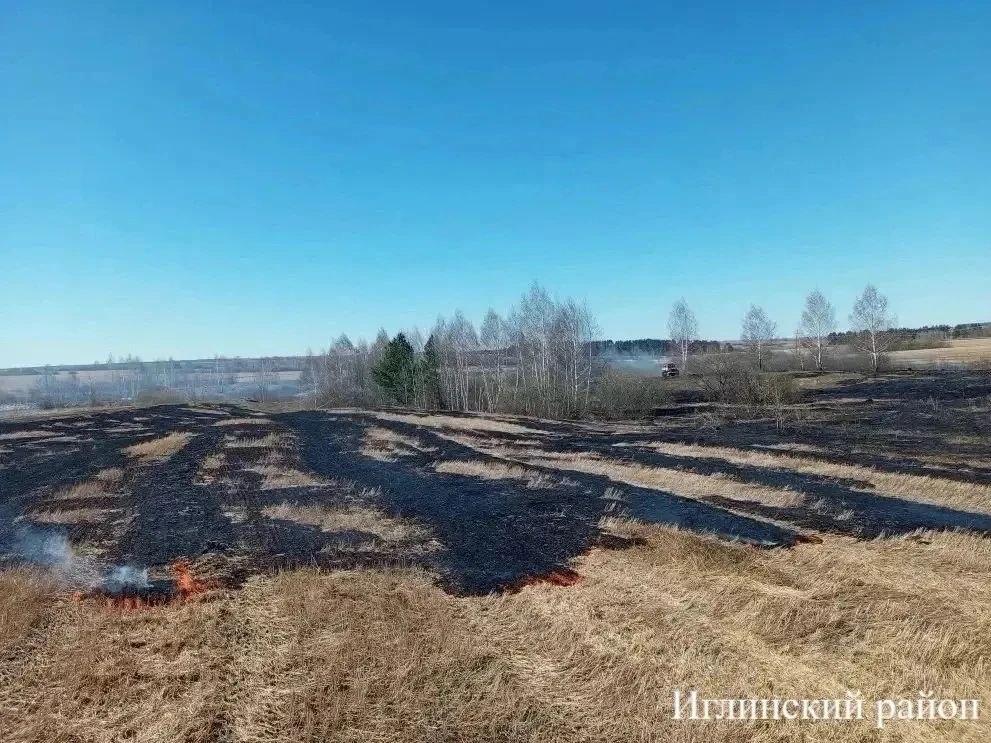 В Госкомитете Башкирии по ЧС рассказали о пожароопасной ситуации В Госкомитете Башкирии по ЧС рассказали о пожароопасной ситуации