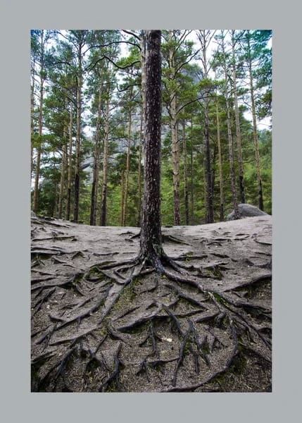 �� ������ ������������, 17 ������ �� ���������� ���������� ��������� ���������� ����������