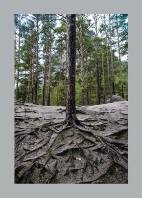 �� ������ ������������, 17 ������ �� ���������� ���������� ��������� ���������� ����������