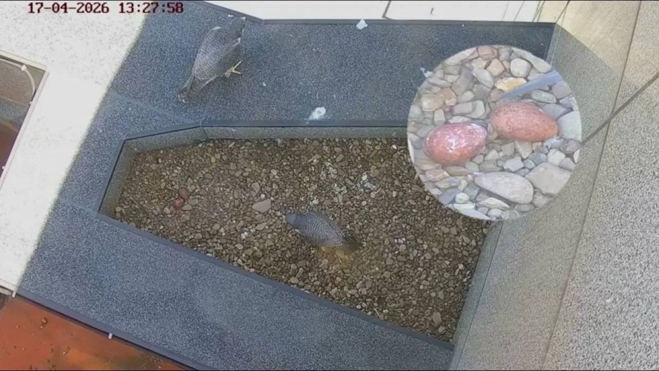 � �������� �� ����� ����� � ��� ��������� ��� ����