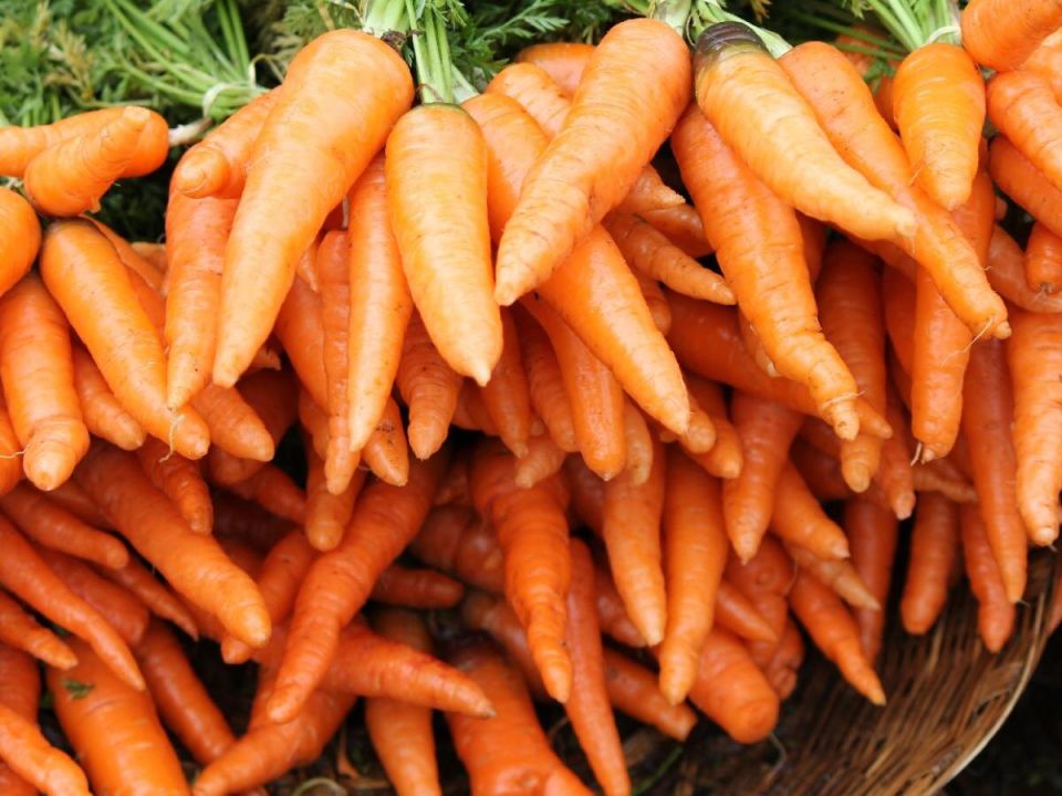 ��� ������������� �������� ������� � �����: ������ ��� ���������