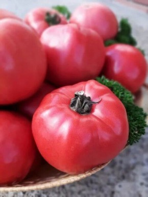 ����� ����� ����: ��������� ����� ��� ������ � ������� �������