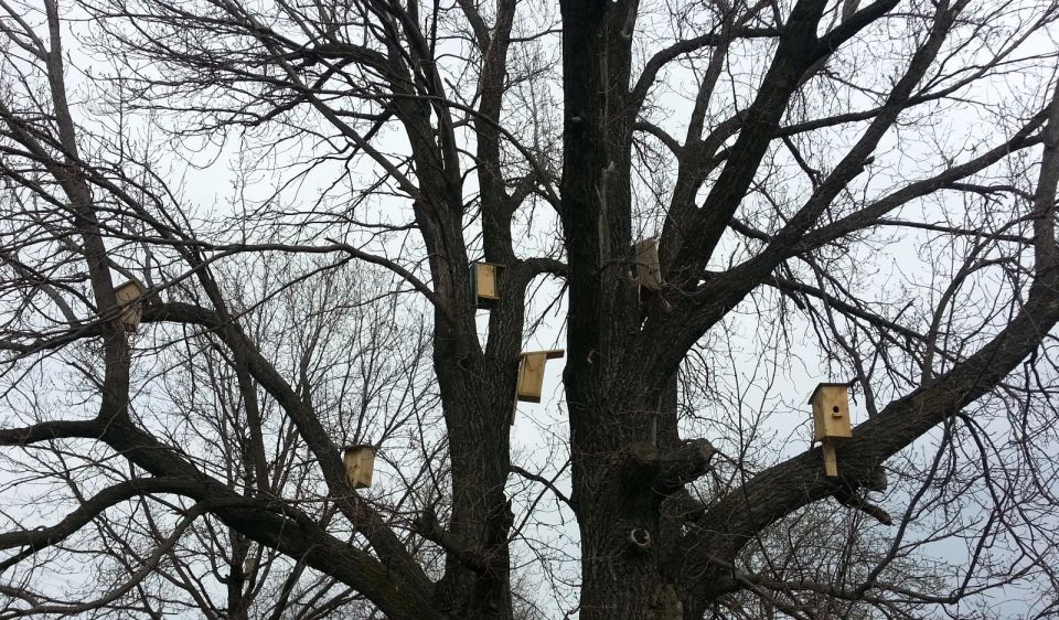 �� ������ ������������, 18 ������ �� ���������� ���������� ��������� ���������� ����������