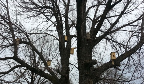 �� ������ ������������, 18 ������ �� ���������� ���������� ��������� ���������� ����������