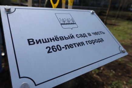 �������� ��� � ����� 260-����� ������������ �������� �� ���������� ���� ������