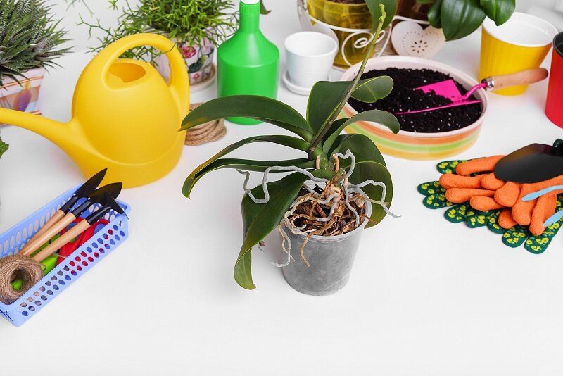 ������ � ������� ���������� ��������� �����