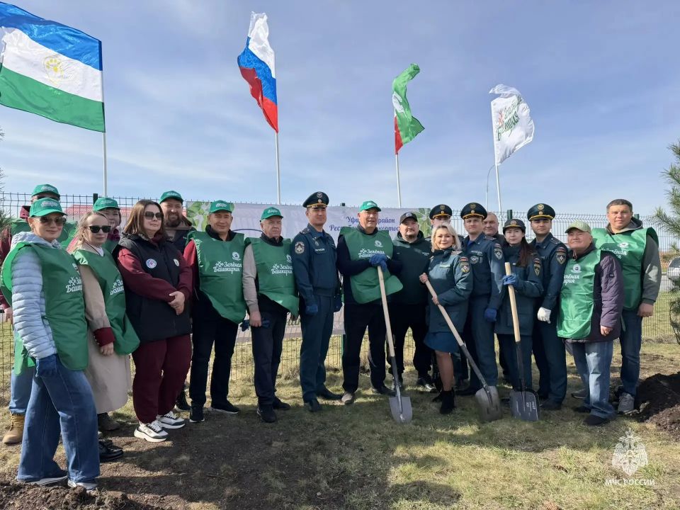 ���������� ��� ������ �������������� � ��������������� ������������� ����� ������� ���������