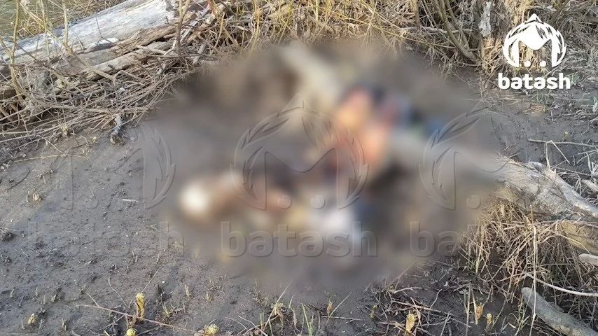 �������, ������� ������� ����� � ���� ����, � 39-������� ������ ��������� ������